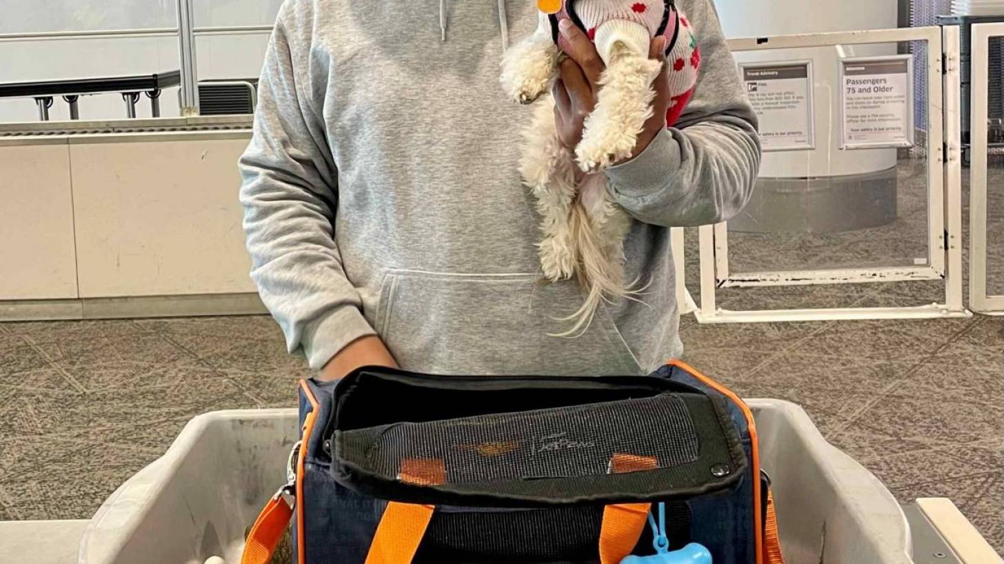 Airport security